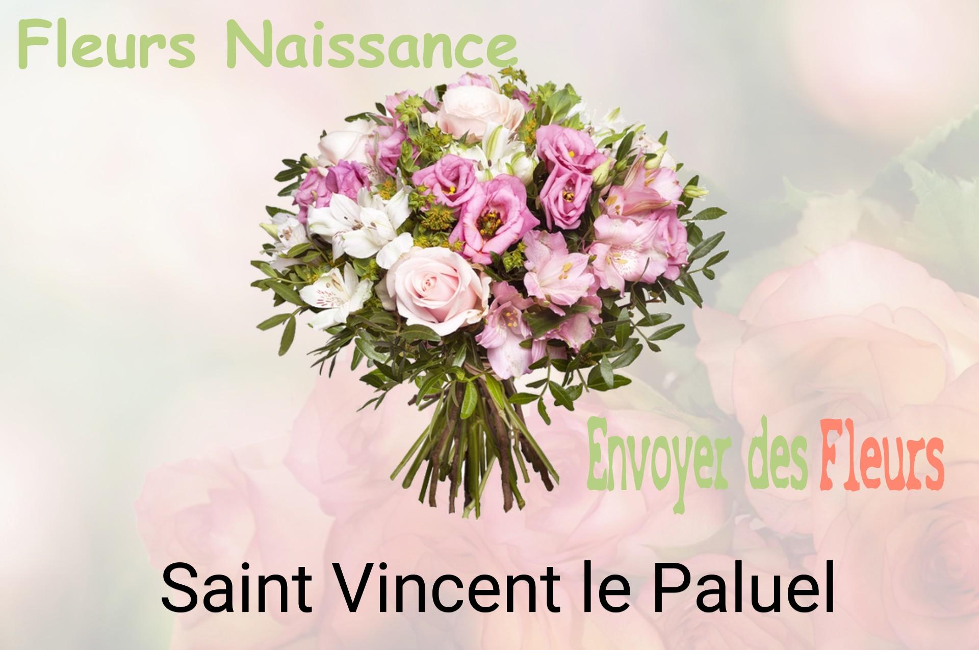 Bouquet de fleurs de naissance livré à Saint-Vincent-le-Paluel